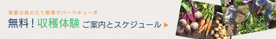 収穫体験のご案内とスケジュール