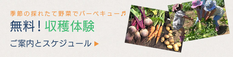 収穫体験のご案内とスケジュール
