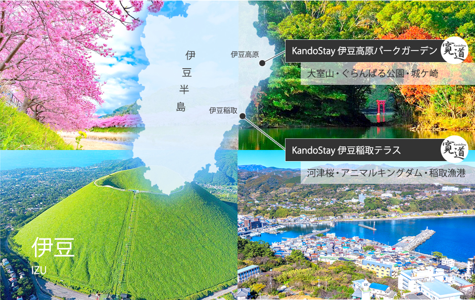 伊豆