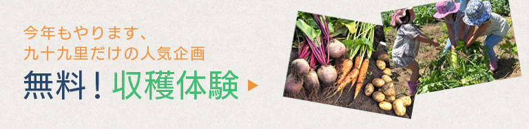 収穫体験のご案内