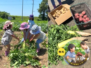 UMI_harvest