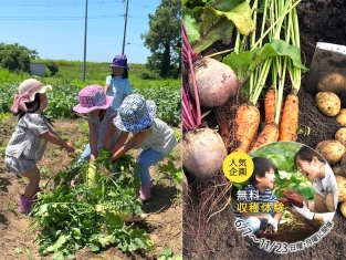 UMI_harvest2026
