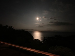 IN_scenery4