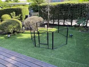 IZ_garden7