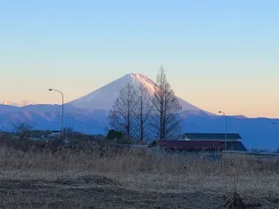 F_view1