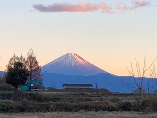 IMG_3448