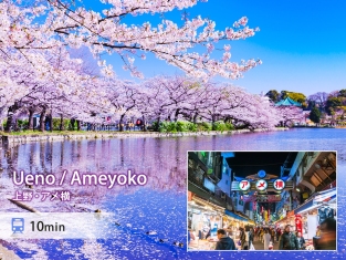 上野　アメ横