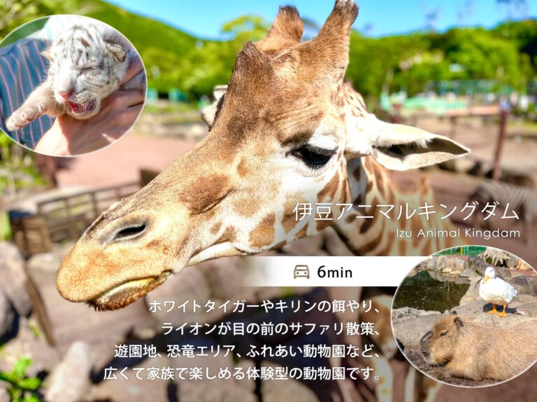 伊豆稲取テラス 観光_伊豆アニマルキングダム 観光_伊豆アニマルキングダム（車で6分）