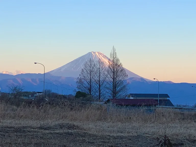 八ヶ岳FUJIYAMAテラス お庭から見える富士山