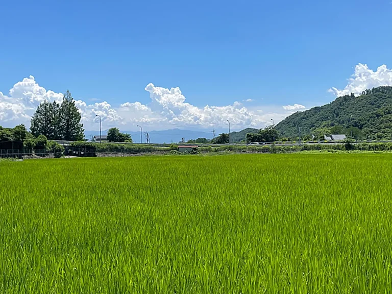 八ヶ岳FUJIYAMAテラス お庭からの景色（夏）