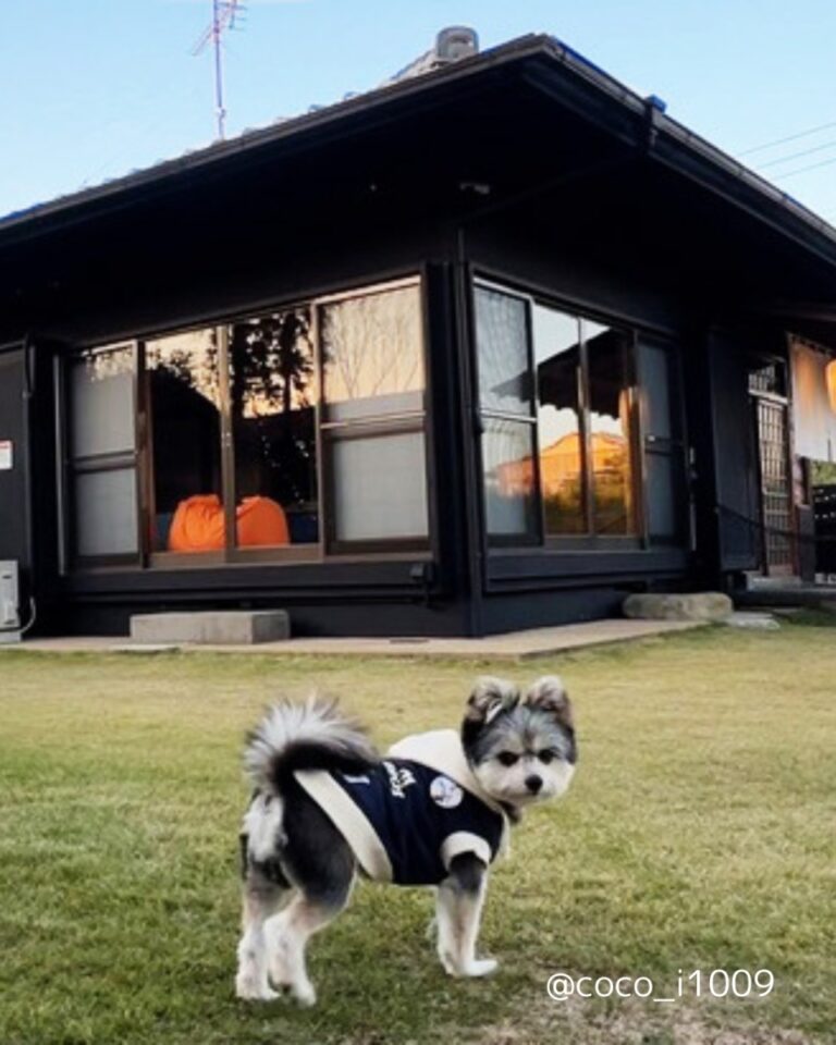 九十九里NAGIテラス お庭はドッグランになります