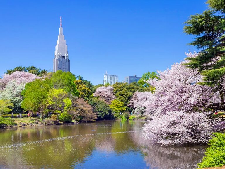 TOKYOテラス 新宿御苑