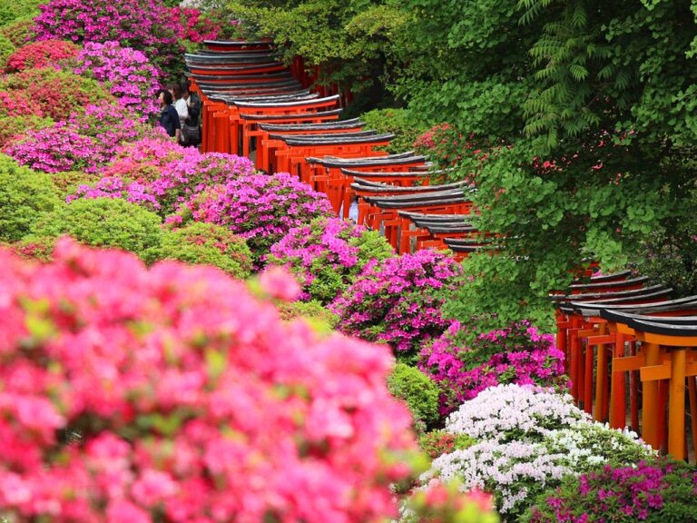 TOKYOテラス 根津神社
