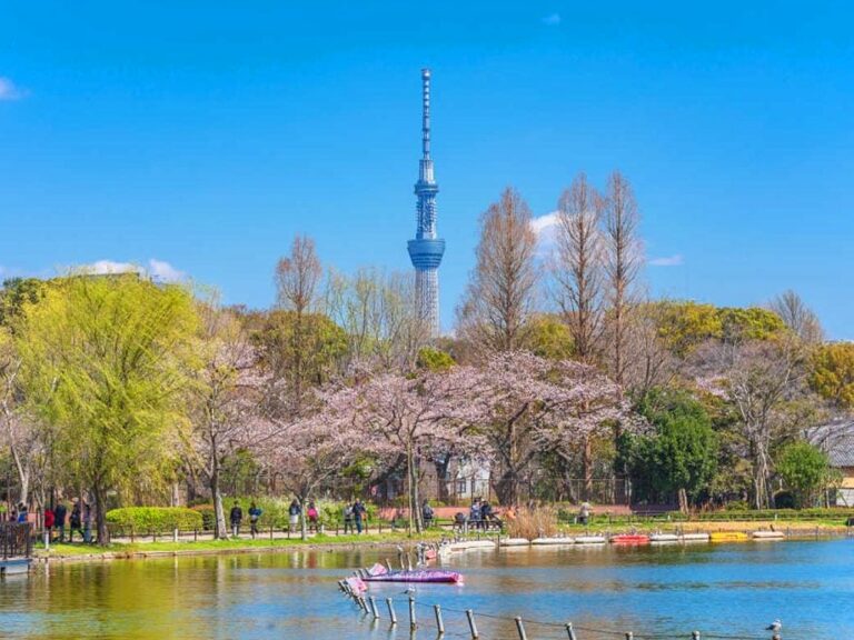 TOKYOテラス 上野・不忍池