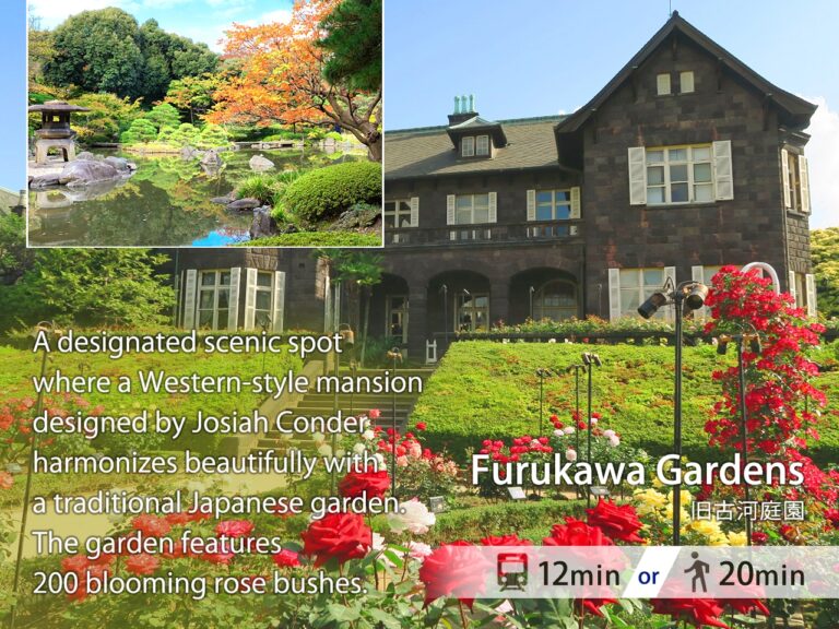 TOKYOテラス 旧古河庭園 | 電車で12分 or 徒歩20分