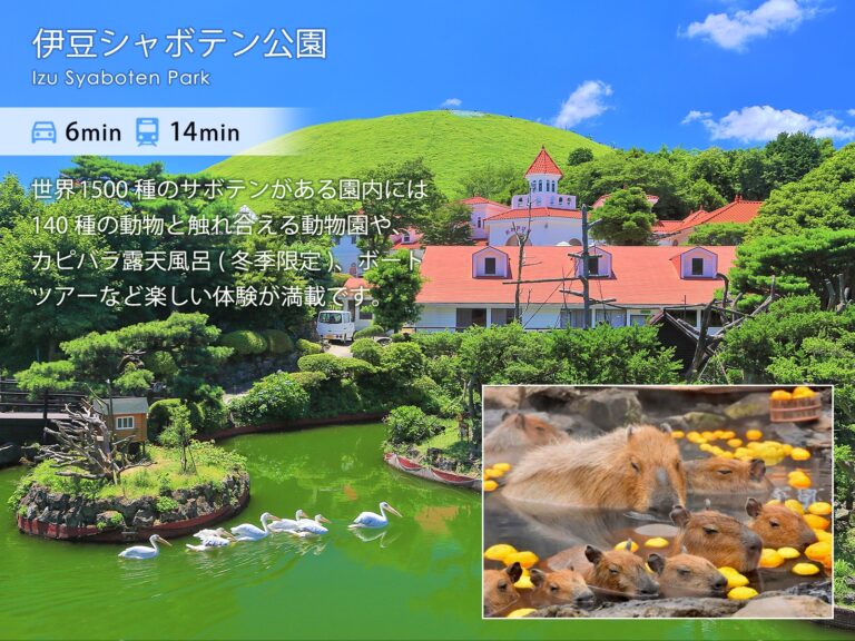 伊豆高原パークガーデン 伊豆シャボテン公園 伊豆シャボテン公園（車で6分／バスで14分）